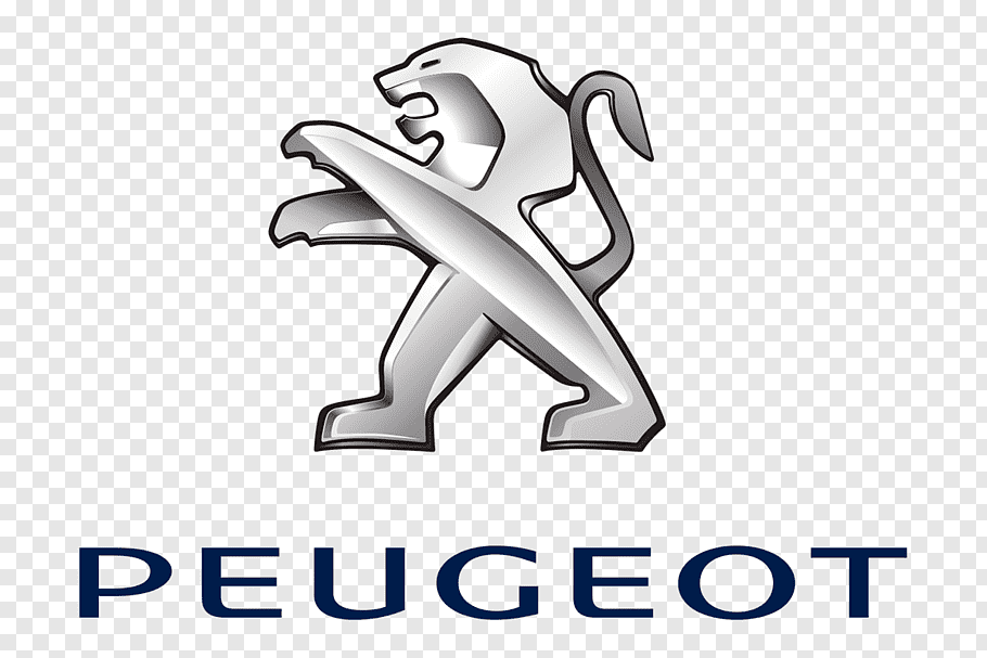 FINA Lyklakippa Leður PEUGEOT