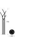 FROST Fatastandur Wishbone Rauður/Króm - Image 2