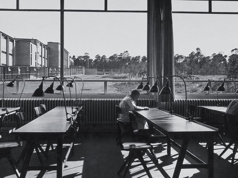 MIDGARD Modular Borðlampi - Image 2