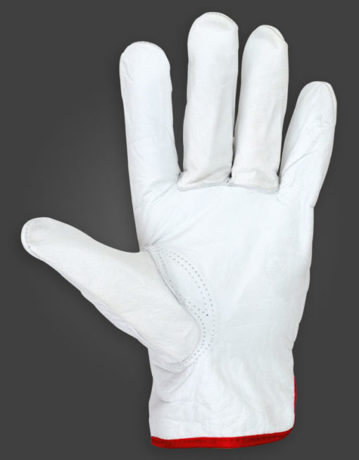 AVEDO Hanskar 251 Leather Galaxy Pegasus 11 - Image 2