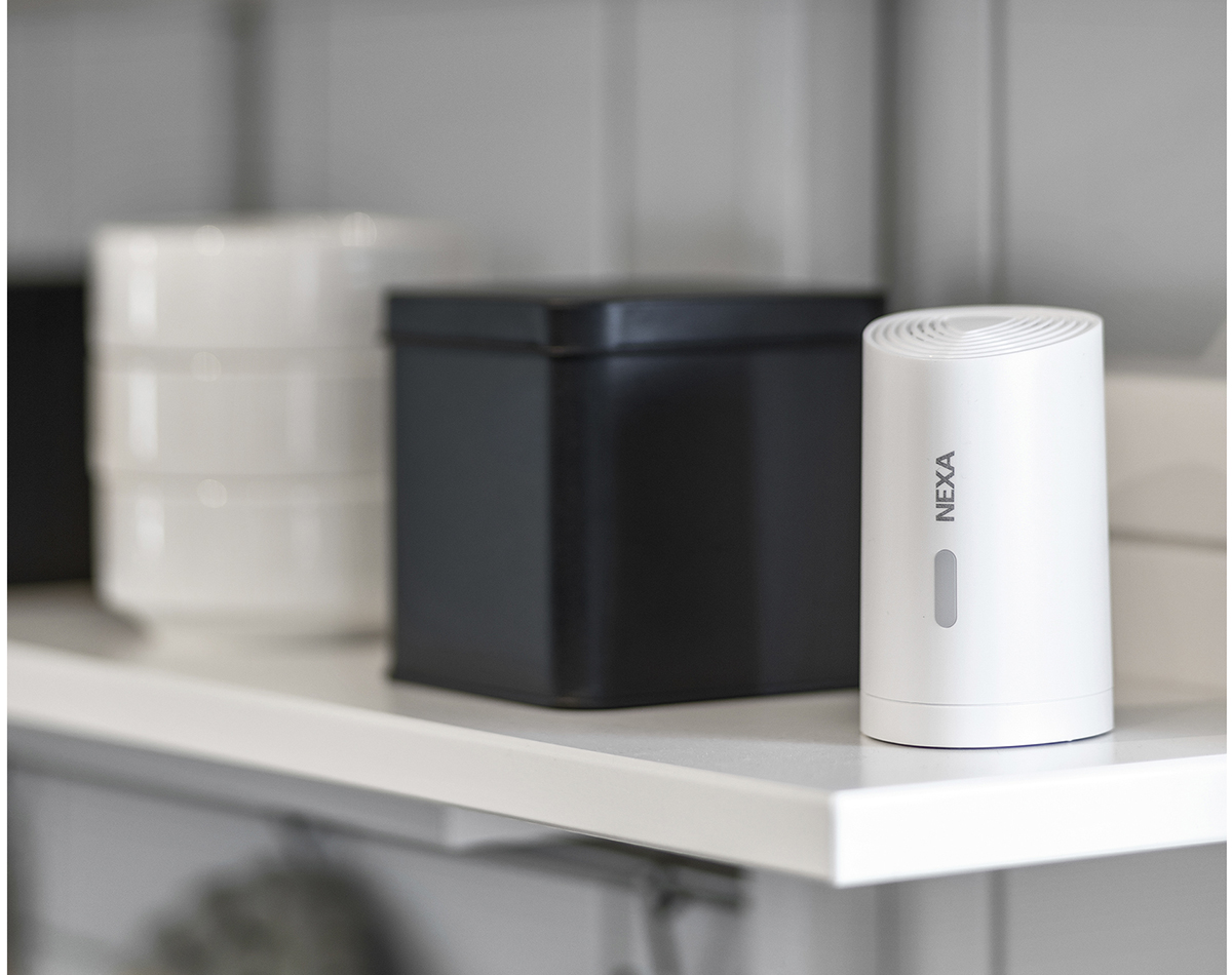 Nexa Dyrabjalla - Image 2