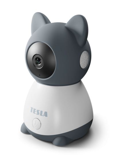 Tesla myndavél barnfóstra B250