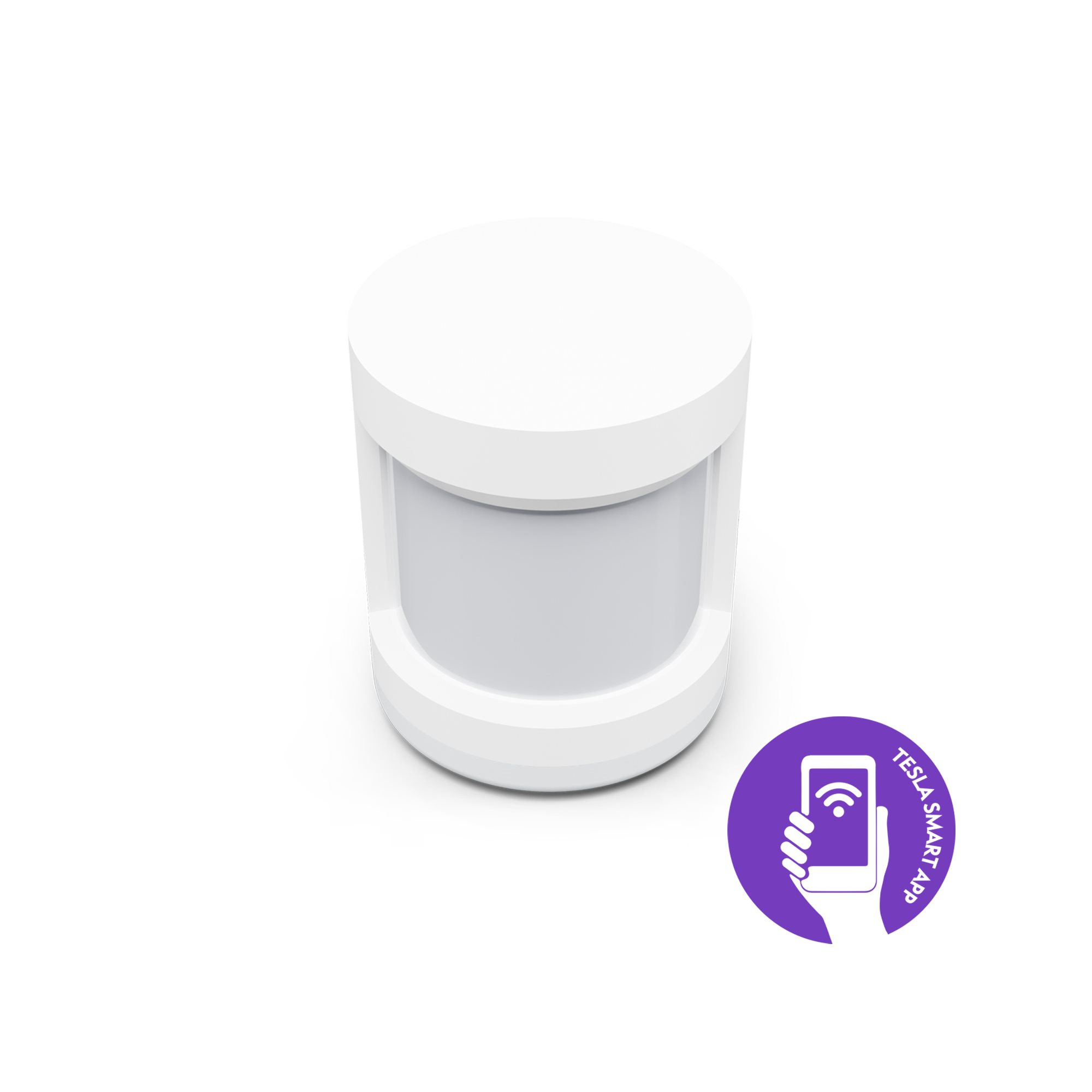 Tesla snjall hreyfiskynjari